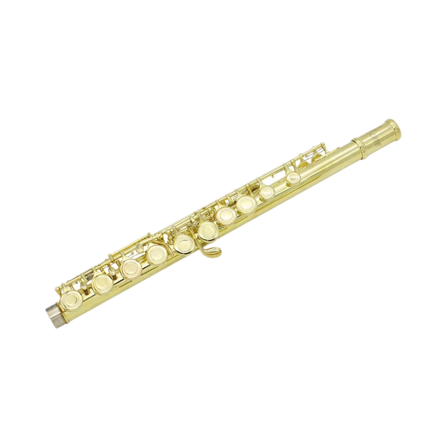 Professional Flute Set with Cleaning Kit and Gloves