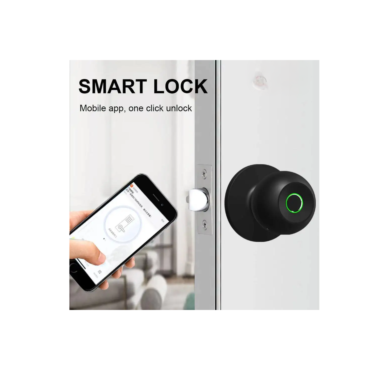 Black Smart Knob Door Lock with App Control