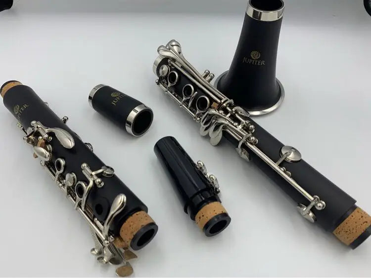B-Flat Clarinet Woodwind Instrument with Case & Accessories