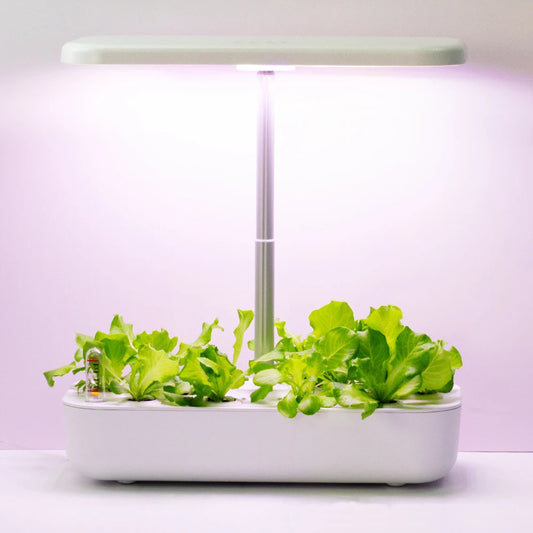 White Indoor Soilless Planting Machine with LED Grow Light