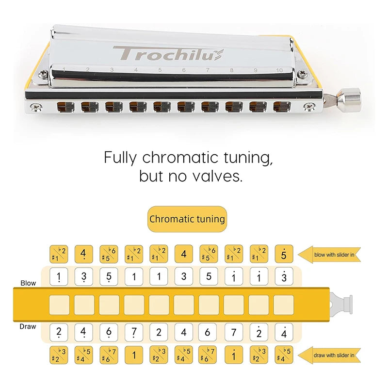 10 Hole Chromatic Harmonica Key C Musical Instrument
