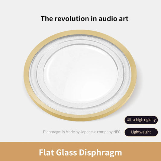 Hi-Fi Dynamic Driver Wired Earphones with Detachable Cable