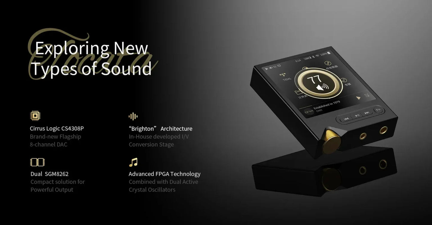 Rechargeable HiFi Audio Player DAC Amp Bluetooth Green Case