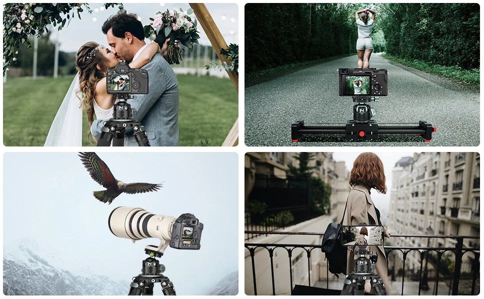 52mm Low Profile Tripod Ball Head Arca Quick Release Plate