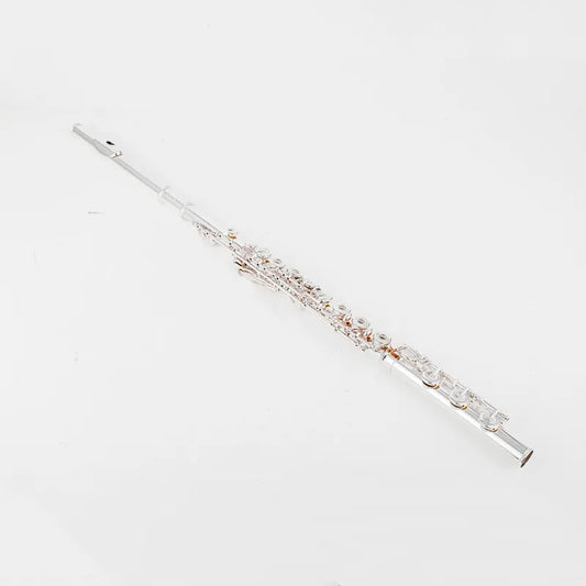 Professional Silver-Plated Flute C Key 17-Hole with Case