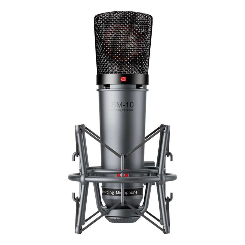 Professional Condenser XLR Microphone for Home Recording