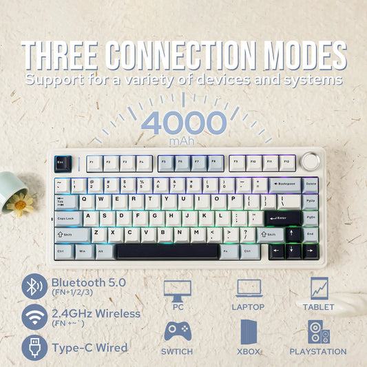 Compact RGB Mechanical Keyboard Bluetooth 2.4G Wireless