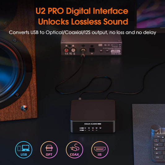 Portable USB Digital Audio Interface DSD512 XMOS Upgrade Version
