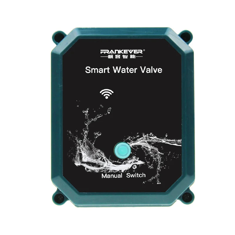 WiFi Smart Water Valve Controller DN25 for Home Automation