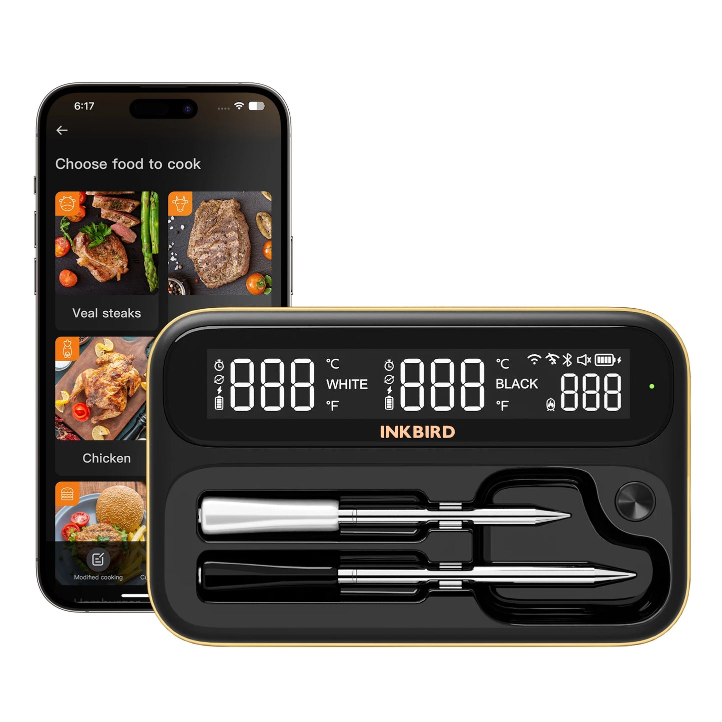 Dual Mode Wireless Meat Thermometer with Waterproof Probes