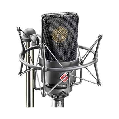 Professional Recording Condenser Microphone Karaoke Studio Black