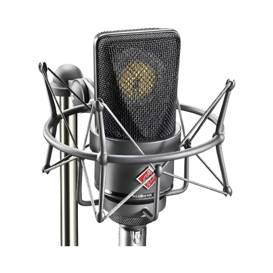 Professional Recording Condenser Microphone Karaoke Studio Black