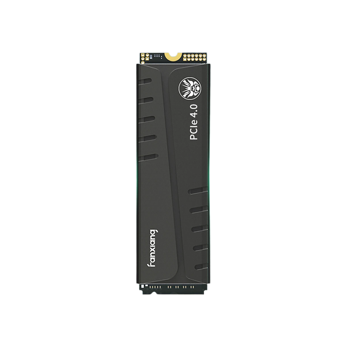 High Speed 1TB M.2 SSD with DRAM Cache