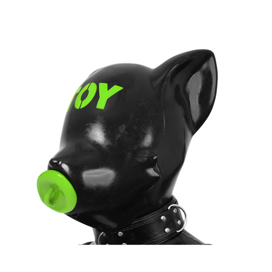 Lime Green Pet Play Dog Mask Costume