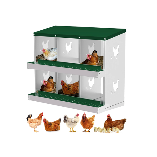 6 Compartment Chicken Nesting Boxes Free Standing Coop Nest