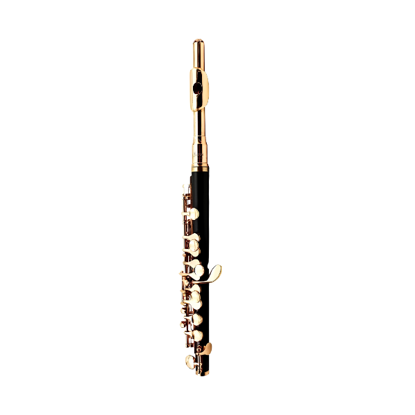 16-Hole Piccolo C Key Black Gold Woodwind Instrument