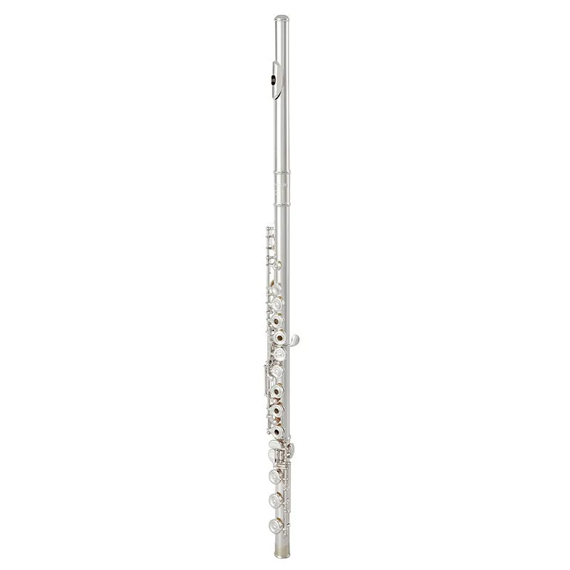 Professional 17-Hole C Key Silver Flute with Case