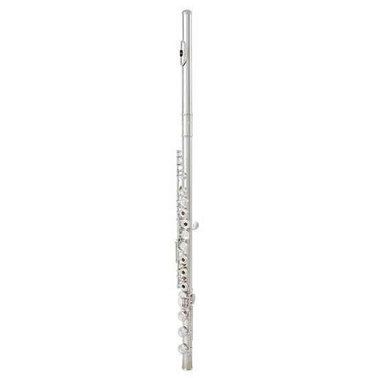 Professional 17-Hole C Key Silver Flute with Case
