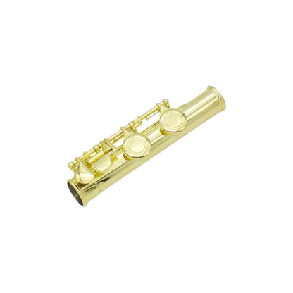 Professional Flute Set with Cleaning Kit and Gloves