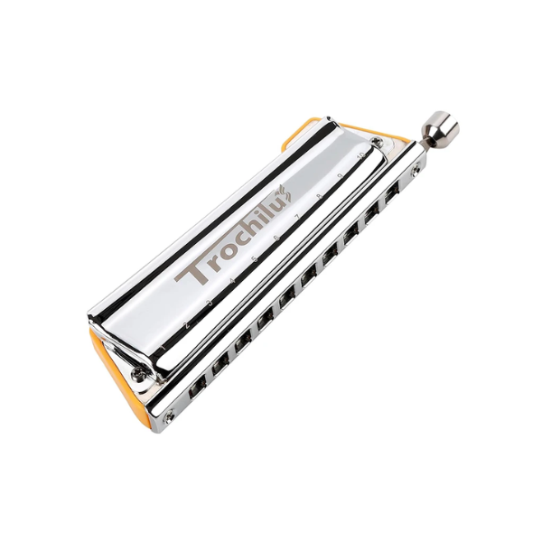 10 Hole Chromatic Harmonica Key C Musical Instrument
