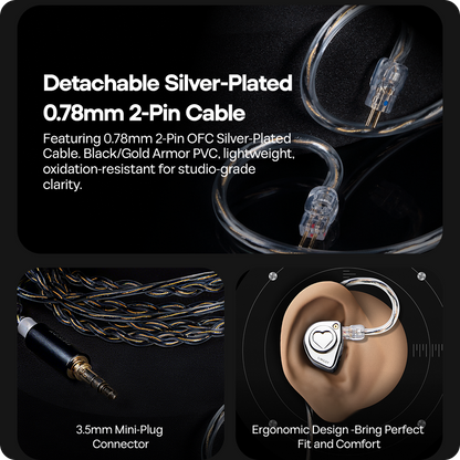Hybrid Driver Hi-Fi IEM Earphones with Detachable Nozzles