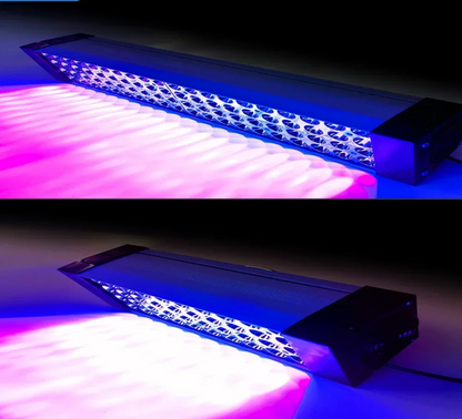 800W 365nm High Strength UV Curing Lamp