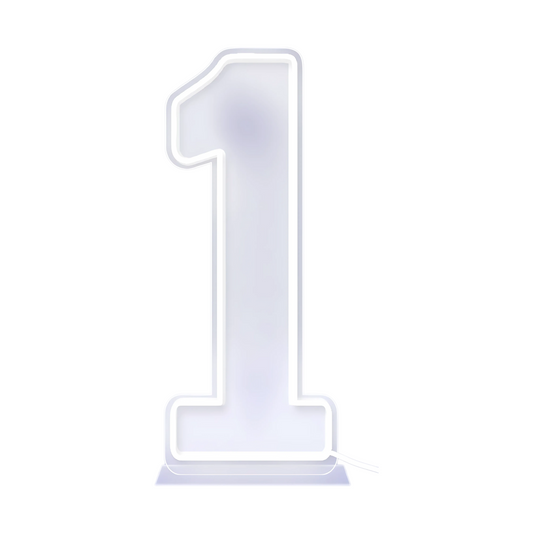 76cm 100cm LED Neon Number Light for Birthday or Wedding