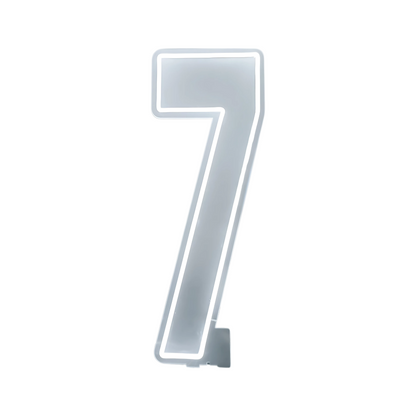 76cm 100cm LED Neon Number Light for Birthday or Wedding