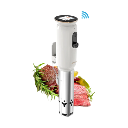 WiFi Sous Vide Precision Cooker 1000W Digital