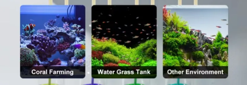 MD4.5 WiFi Automatic Aquarium Dosing Pump 12V
