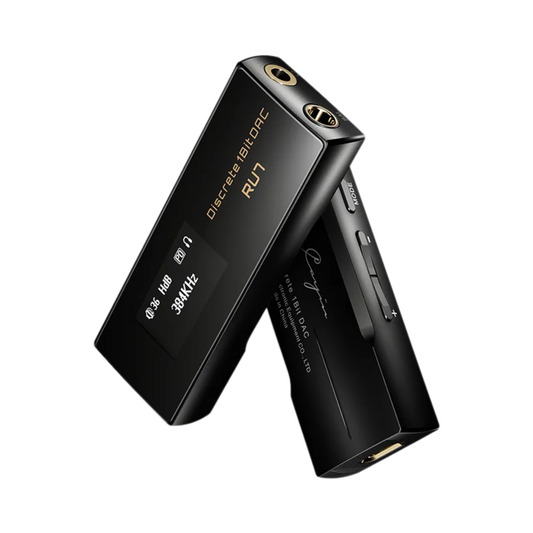 Portable Full Balanced 1-Bit DAC Amplifier with Leather Case