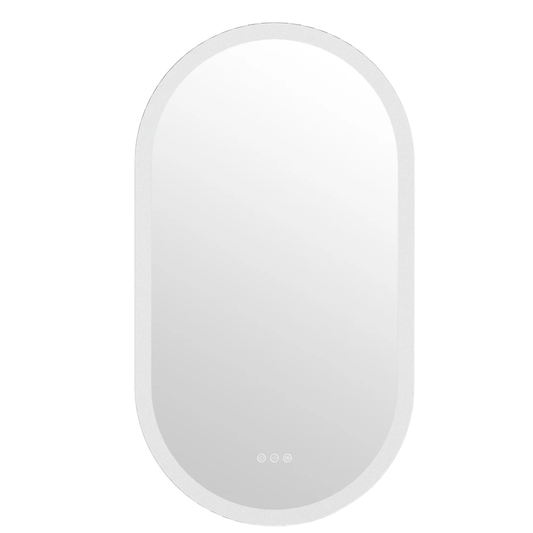 Oval LED Bathroom Mirror 24x48in Anti-Fog Lighting