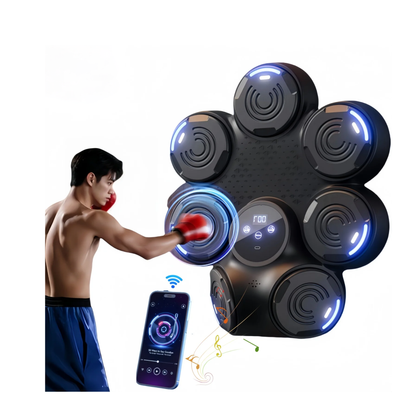 Wall Mounted Music Boxing Trainer Bluetooth Punch Target Black