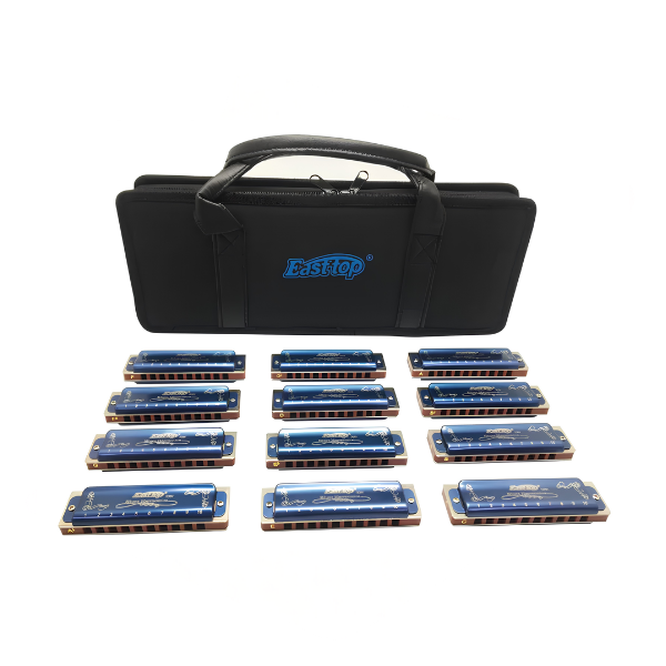 12-Piece Diatonic Blues Harmonica Set 10-Hole 12 Keys