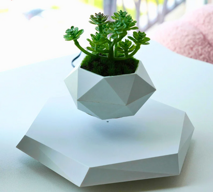 Floating Magnetic Levitation Plant Pot for Succulents