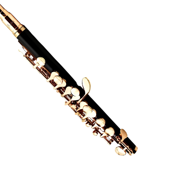 16-Hole Piccolo C Key Black Gold Woodwind Instrument