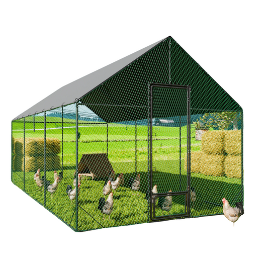 Large Outdoor Walk-In Chicken Coop with Roof Cover