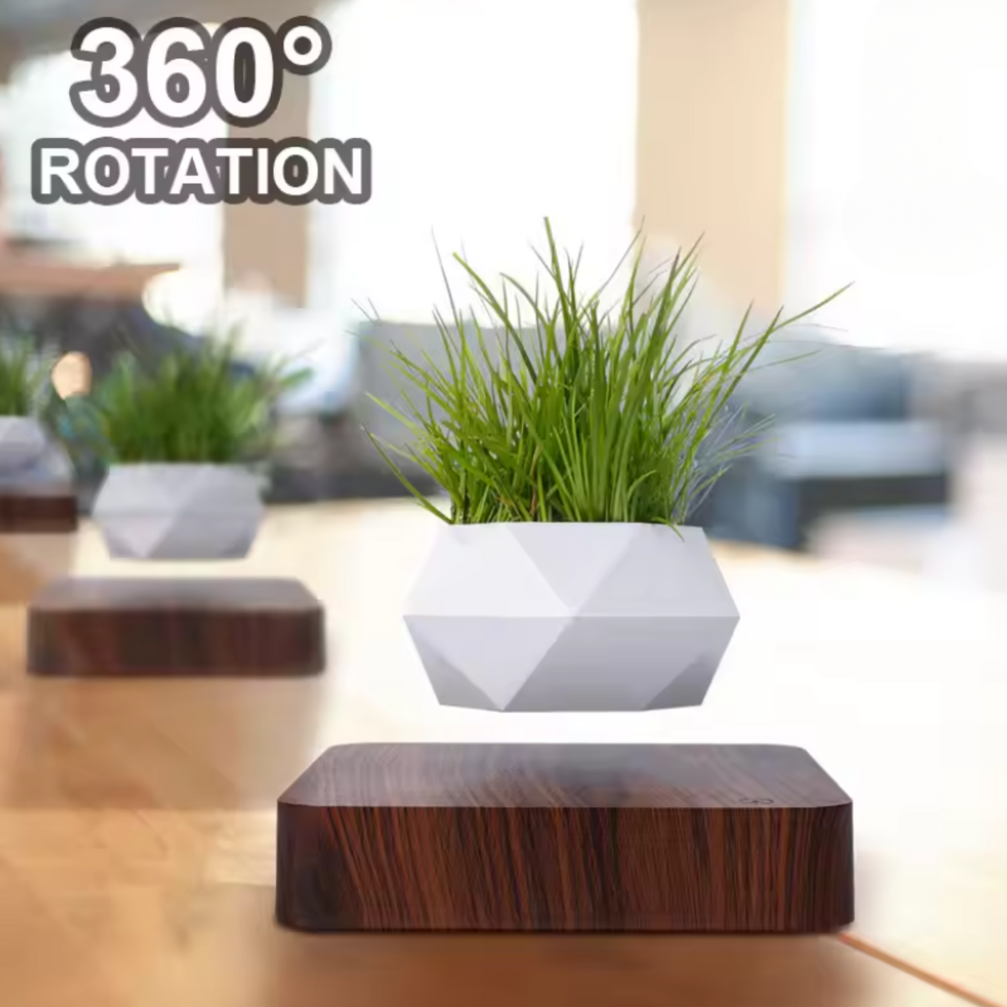 Levitating Magnetic Bonsai Pot with Walnut Base