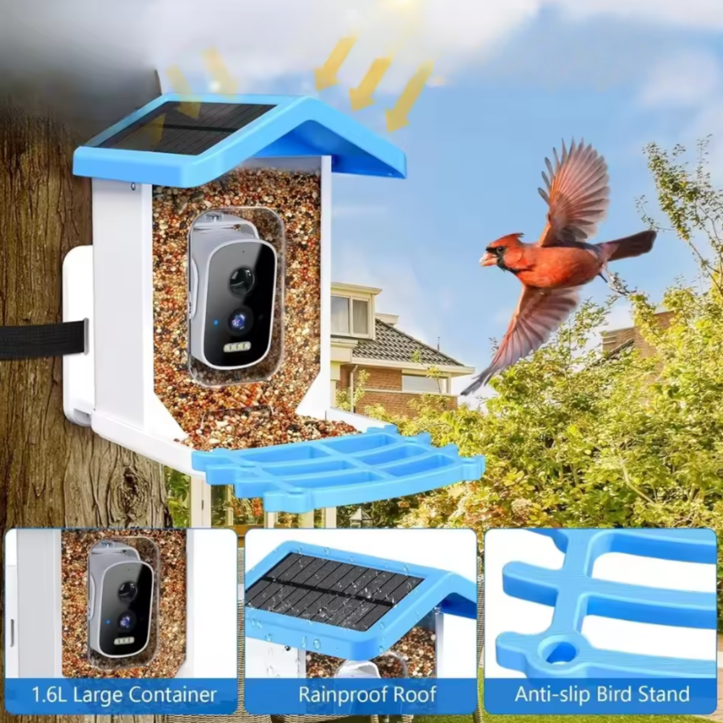 Solar-Powered Bird Feeder Camera with AI Species Detection
