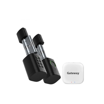 TTLock Smart Door Lock Fingerprint RFID Gateway Enabled