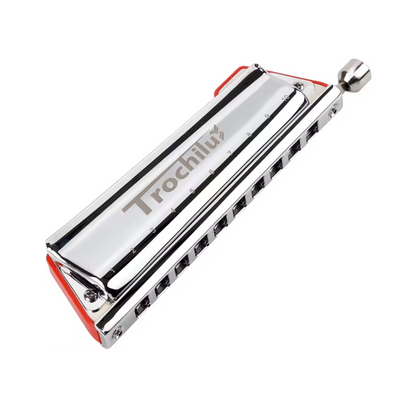 10 Hole Diatonic Harmonica Key of C Pop Style
