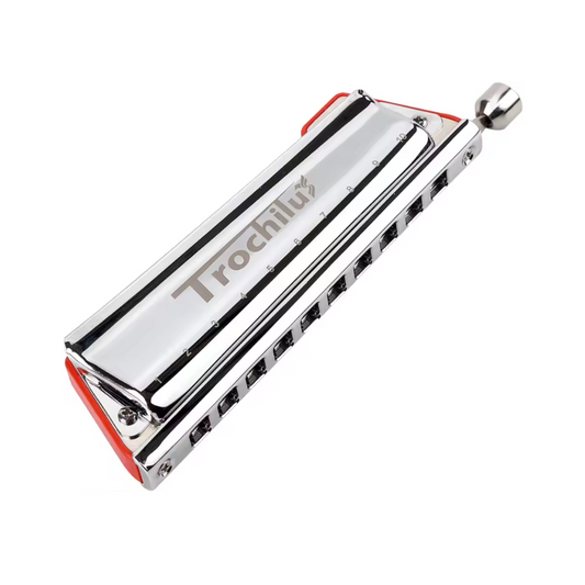 10 Hole Diatonic Harmonica Key of C Pop Style