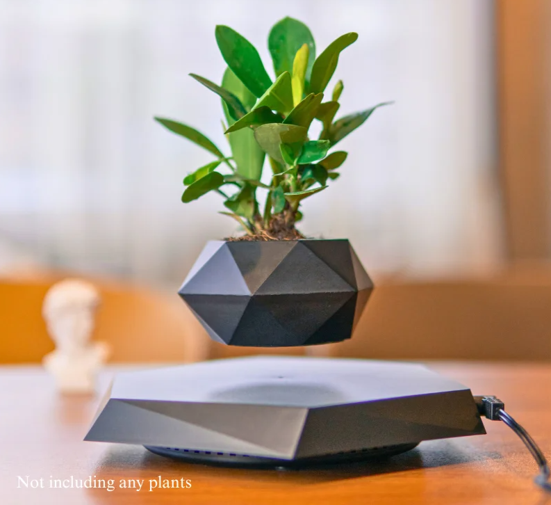 Floating Magnetic Levitation Plant Pot for Succulents
