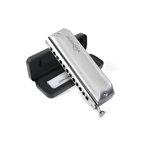 Professional 12 Hole Chromatic Harmonica Key C