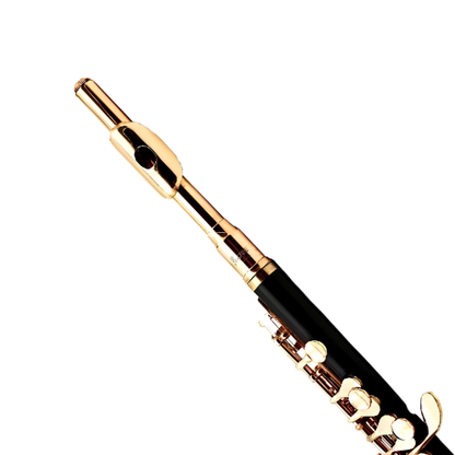 16-Hole Piccolo C Key Black Gold Woodwind Instrument