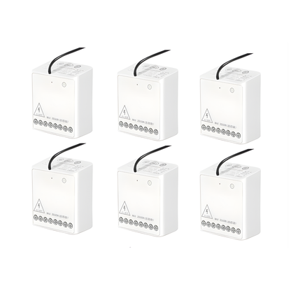 Wireless Zigbee Dual Channel Relay Module Set of 6
