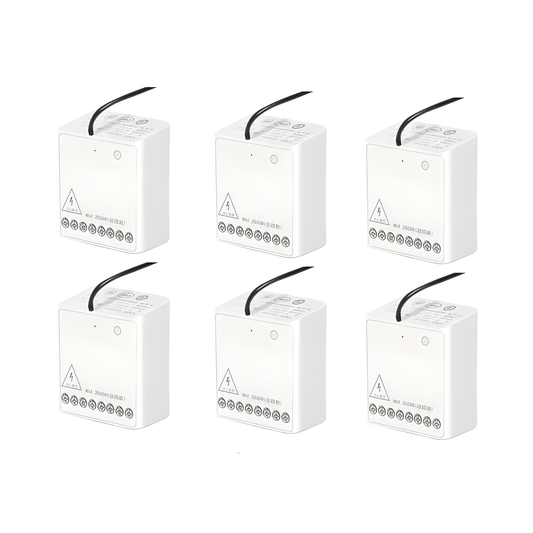Wireless Zigbee Dual Channel Relay Module Set of 6