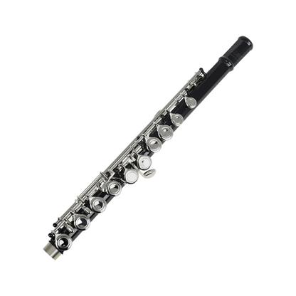 Closed Hole Flute Set for Professional Musicians