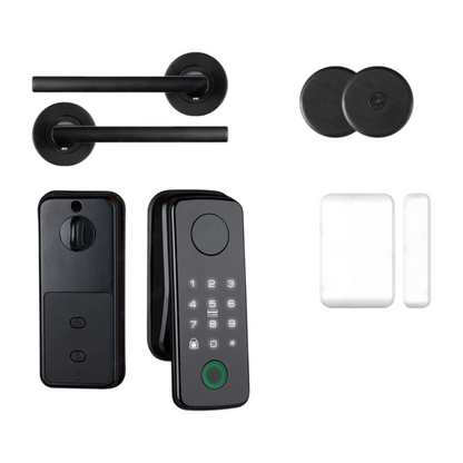Smart Black Fingerprint Lock Set with Remote Access