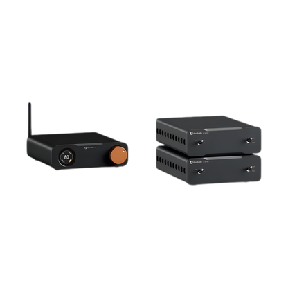 Balanced Audio Decoder with Bluetooth for V3 MONO Amplifier